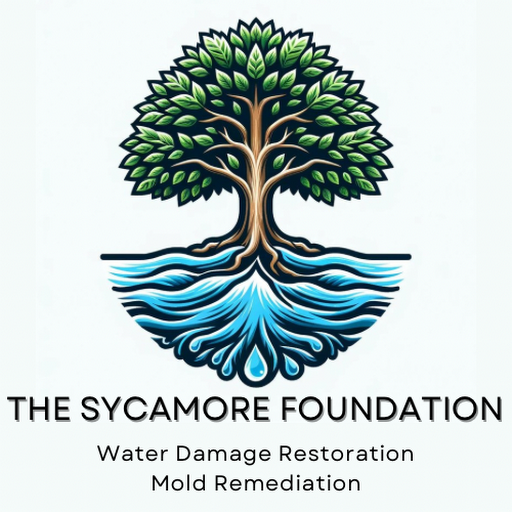 The Sycamore Foundation Logo