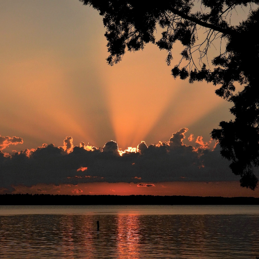 Plum Branch Yacht Club and Lakeside Grill Logo