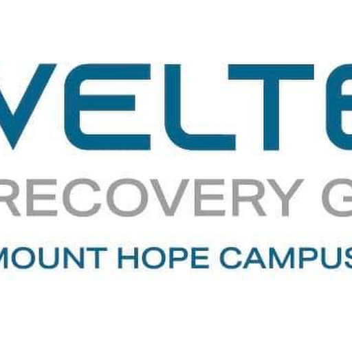 Veltex Recovery Group Logo
