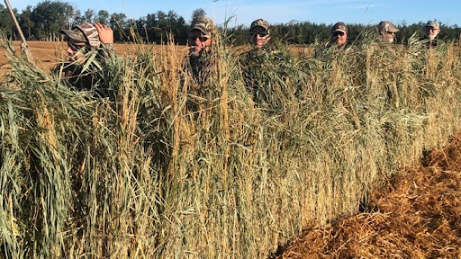 Aurora Skies Outfitting Banner