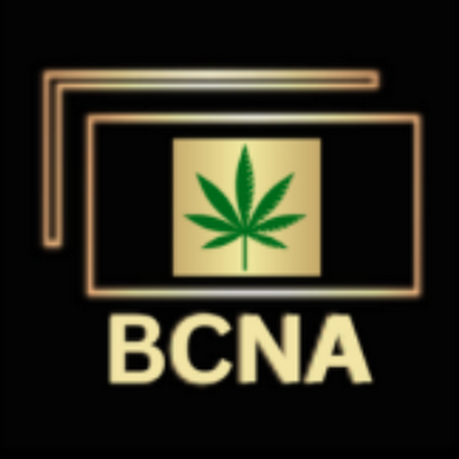 Best Copy Now Agency Logo