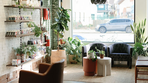 Twig Hair Salon Banner