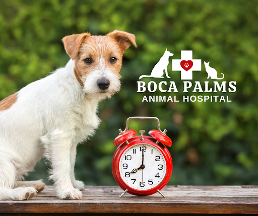 Boca Palms Animal Hospital Banner
