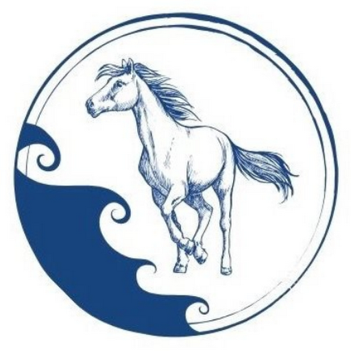 Florida Beach Horses Logo