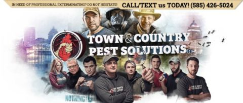 Town and Country Pest Solutions Inc Banner