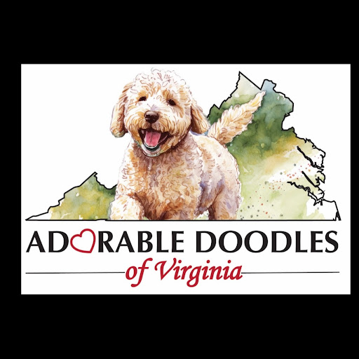Adorable Doodles of Virginia LLC Logo