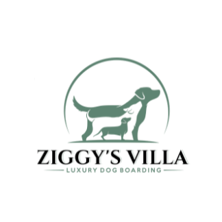 Ziggy's Villa Logo