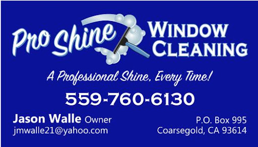 Pro Shine Window Cleaning Banner