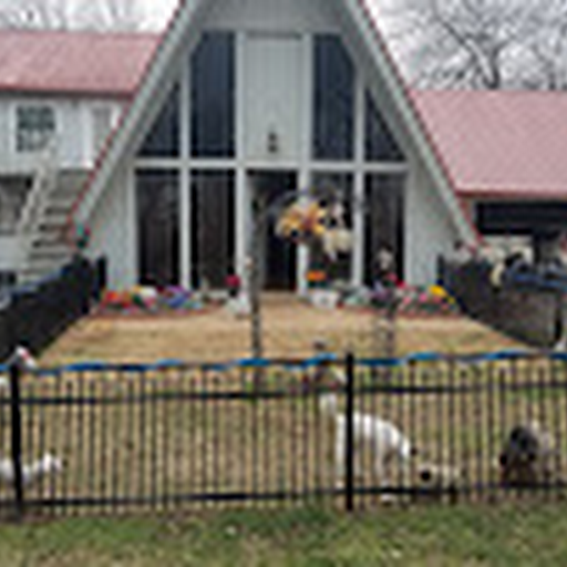 Old Paws Rescue Ranch Logo