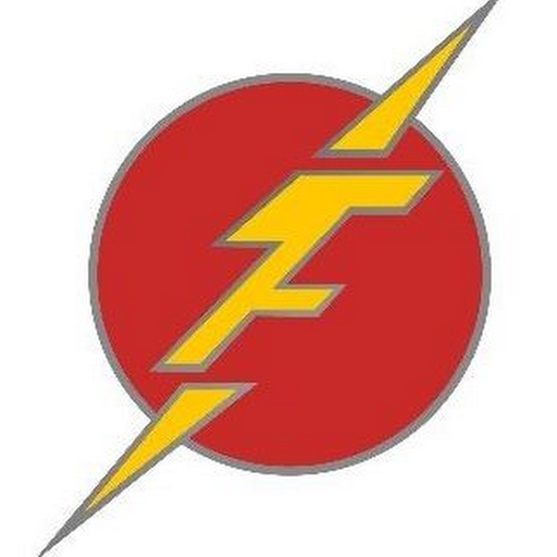 Flash Electric Logo