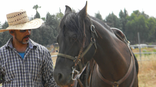 Rancho de los Cielos Banner