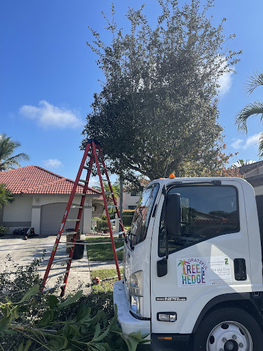 Grateful Tree and Hedge Banner