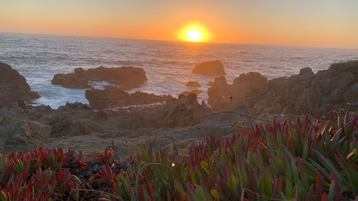 Empathy Therapy Banner