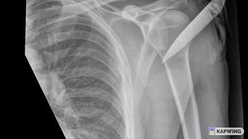 Dr. Connor McDavid Banner