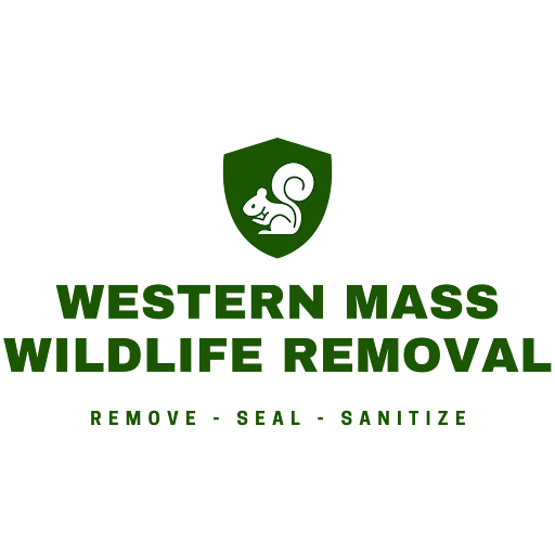 Western Mass Wildlife Removal Logo