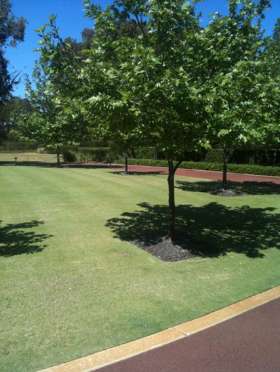 Andrew Stambulich Lawnmowing Contractor