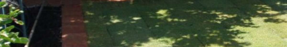 Thompson Landscaping & Pool Coping Banner