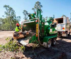 North Brisbane Trees