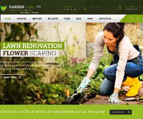 Website Design Affordable Price