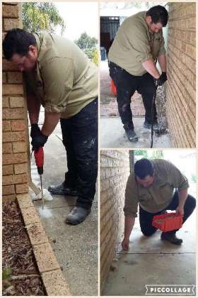 Stella Pest Management