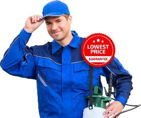 Rapid Building Inspections Gold Coast