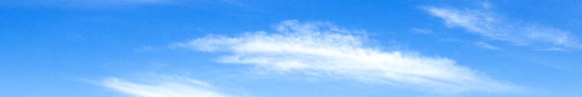 Mad About LIFE Banner