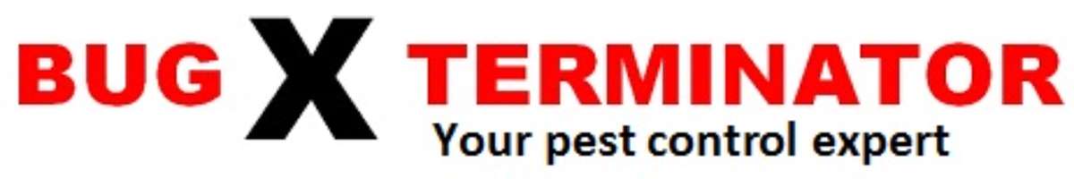 Bug X Terminator Banner