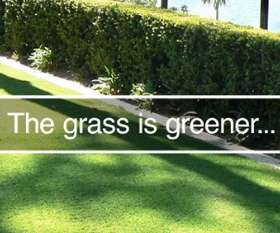 Australian Synthetic Lawns