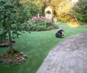 Australian Synthetic Lawns