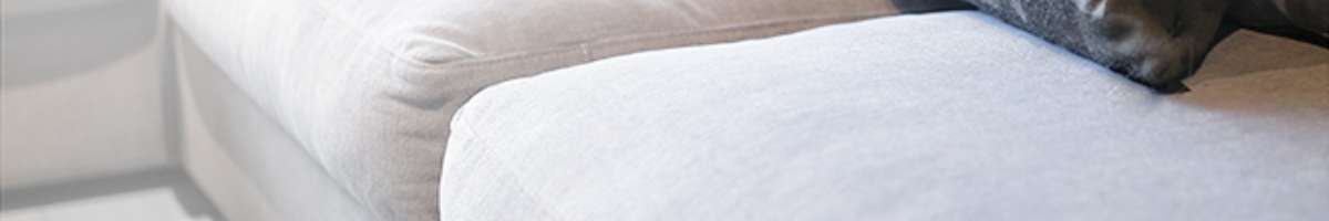 IANS Upholstery Cleaning Canberra Banner