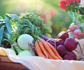 Natural Organic Store