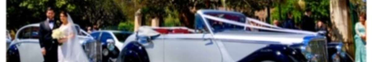 Royalty Wedding Cars Sydney Banner