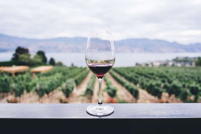 Fun Facts About Wine