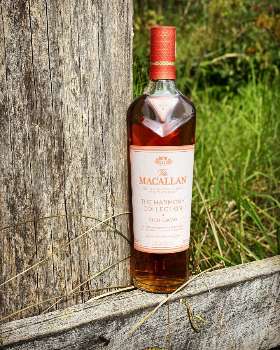 Macallan Harmony Rich Whisky - Whisky Club Sydney - BARREL & BATCH Finest Whisky Club Sydney