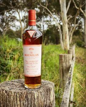 Macallan Rich Cacao - Harmony Collection - Whisky Club Sydney - BARREL & BATCH Barrel for Barrel