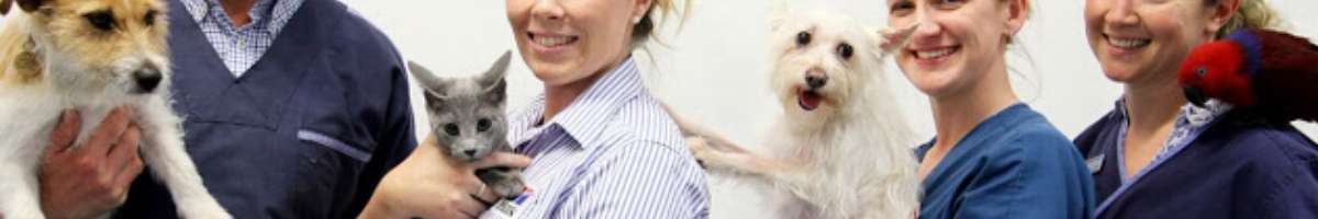 Gordon Vet Hospital Banner