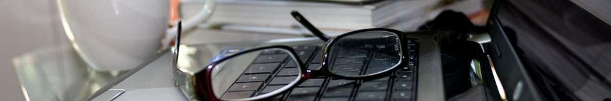 Online Monkeys Banner