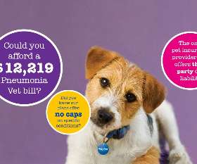 Pet Plan Australia