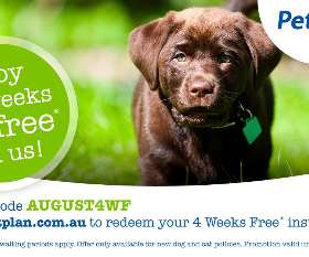 Pet Plan Australia