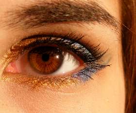 Goldflower Beauty