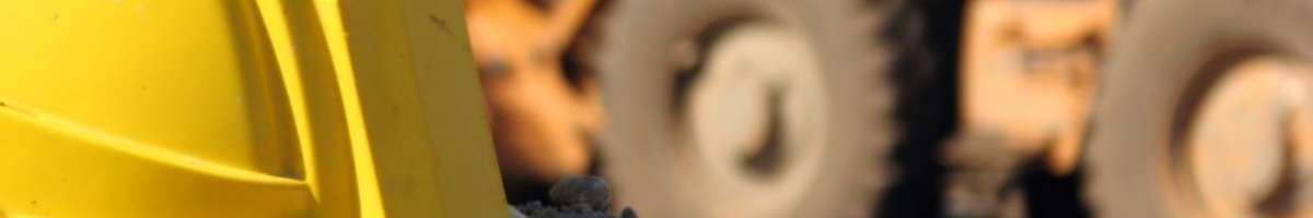 sesa.com.au Banner