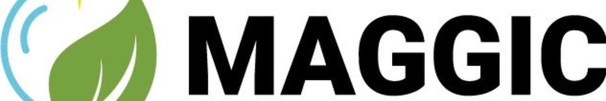 Maggic Cleaning Service Banner