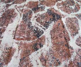 The Red Carpet Australia