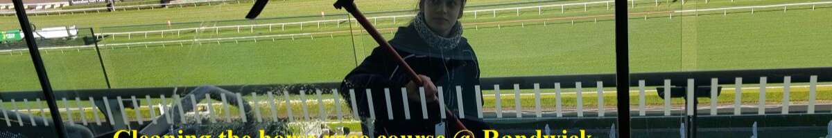 Hayss Window Cleaning Pty Ltd Banner