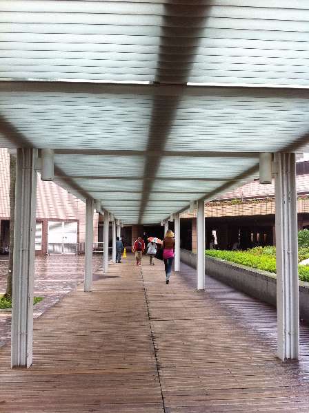 Elegant Covered Walkways: Carefree Experience