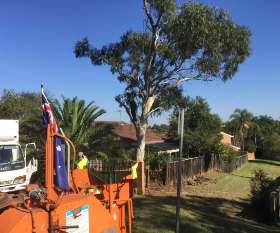 At Your Tree Service