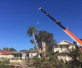 At Your Tree Service