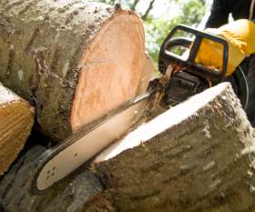 At Your Tree Service