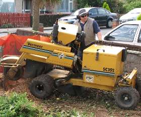 At Your Tree Service