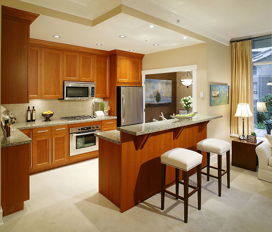 Information About Kitchen Designs